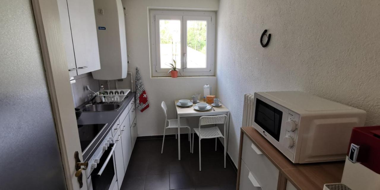 Helvetia 2 Zimmer Apartment Mit Parkplatz Цюрих Екстер'єр фото